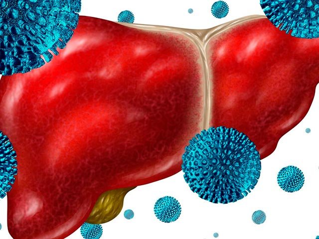 Новости про - Антитела к гепатиту С - причины появления, расшифровка анализа при обнаружении в крови антител после гепатита С