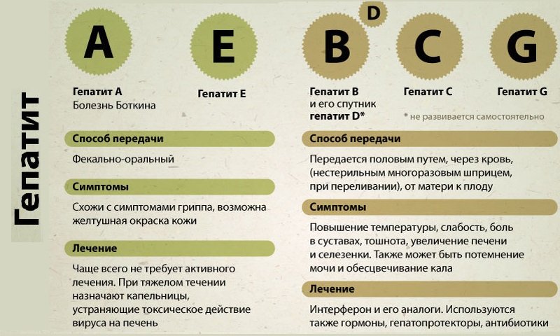 Новости про - Как проявляется острый и хронический инфекционный гепатит, лечение и профилактика