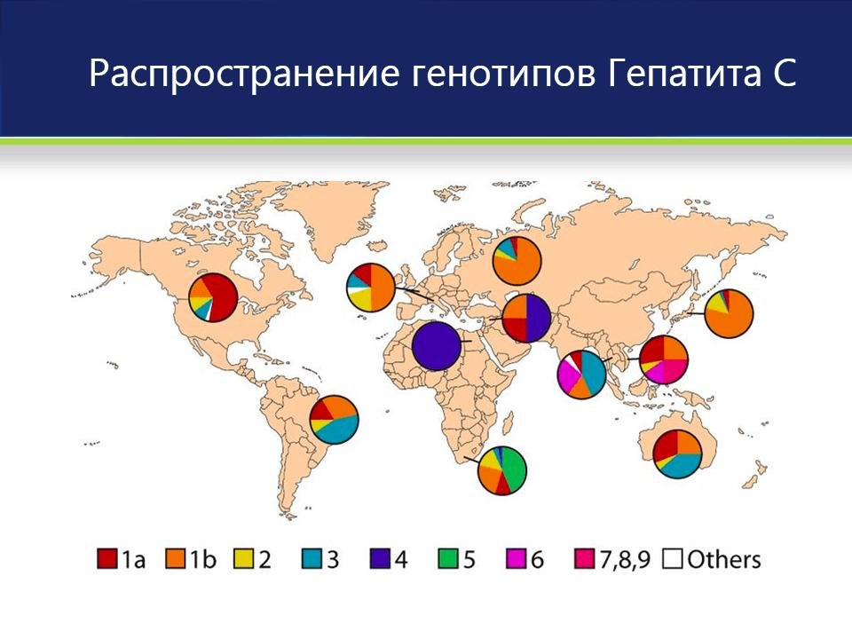 Новости про - Гепатит ц - вирус, первые признаки, можно ли вылечить HCV полностью и навсегда